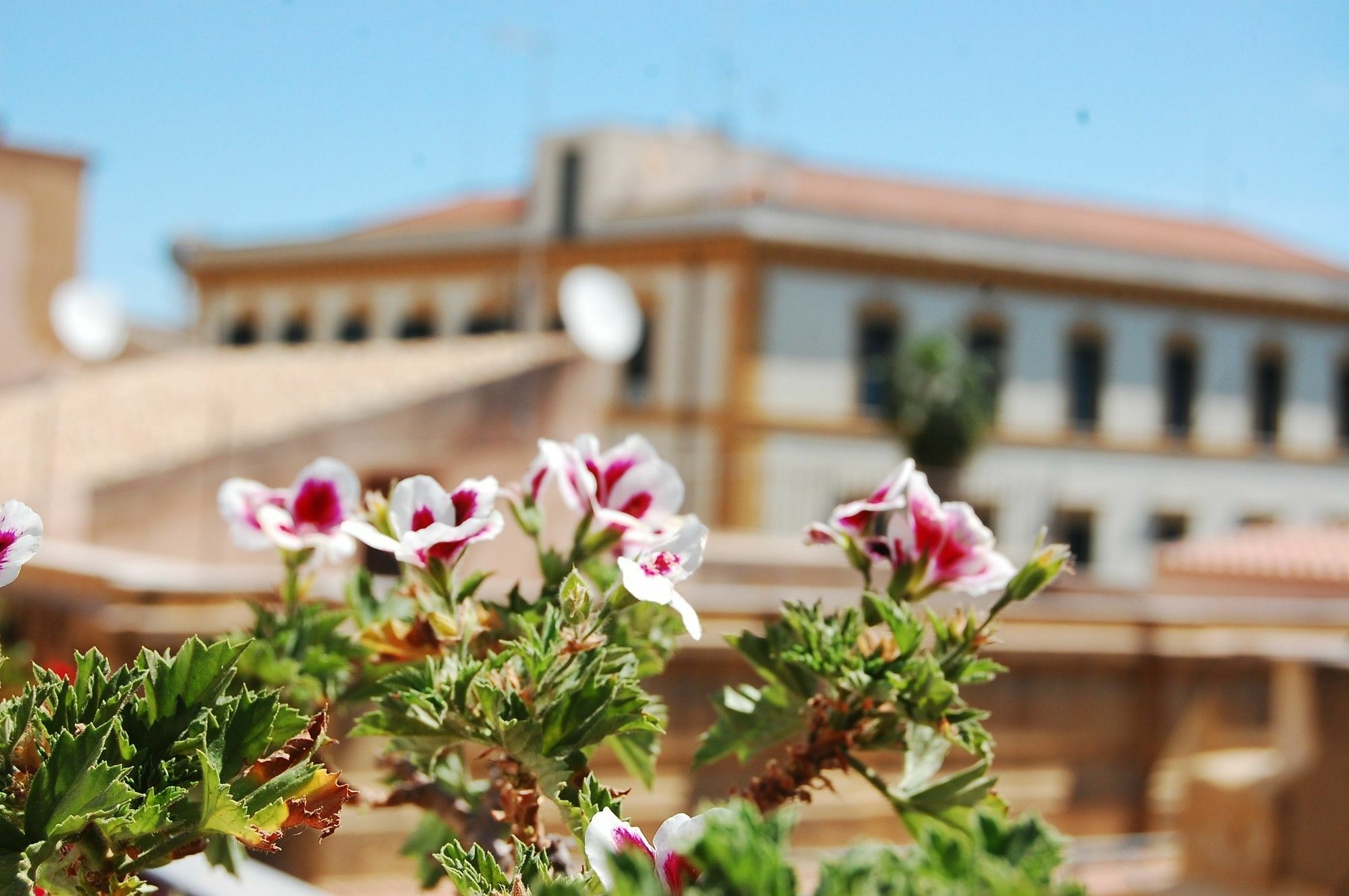 Portatenea - Atenea Collection Agrigento Exterior foto