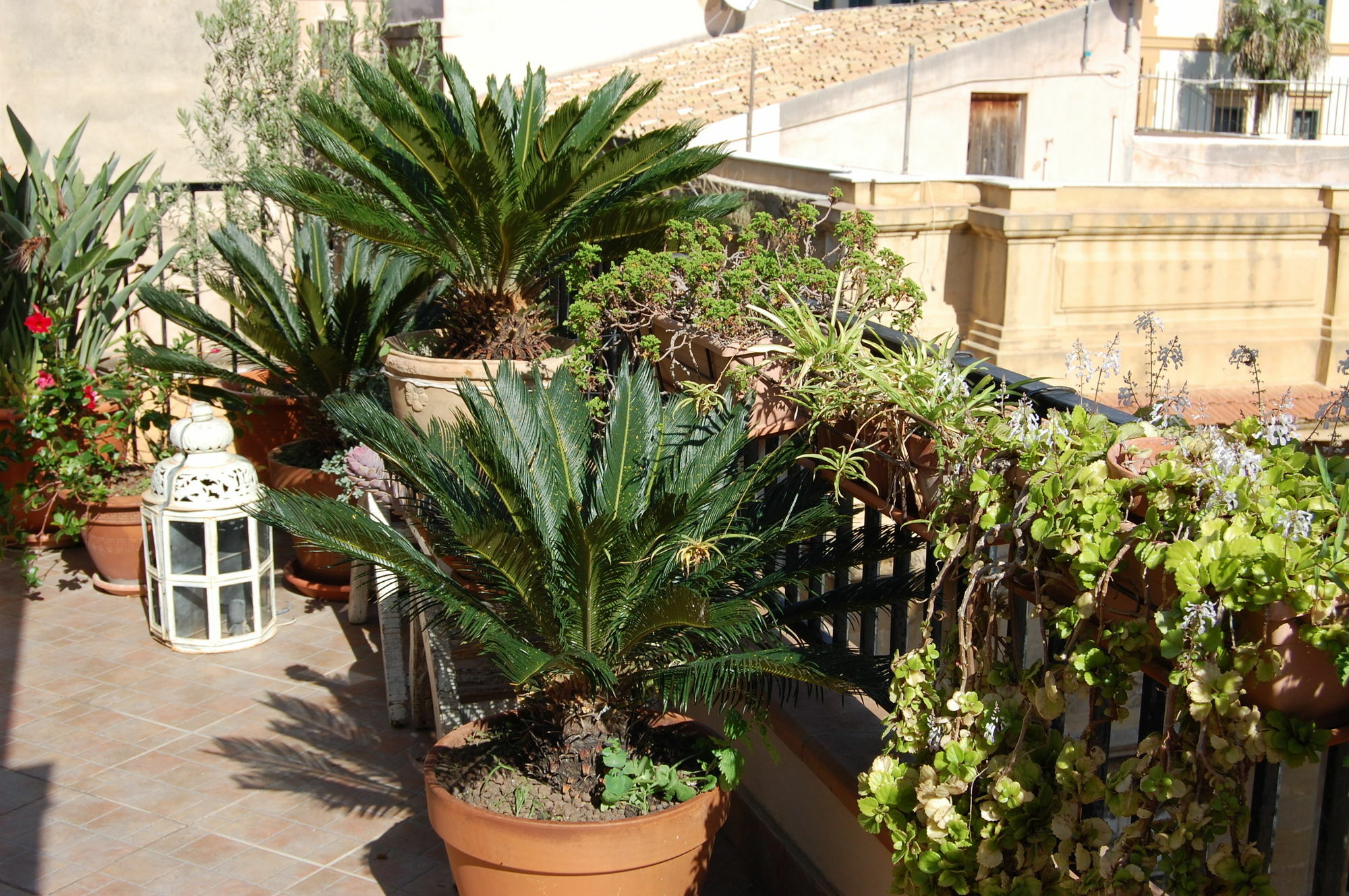 Portatenea - Atenea Collection Agrigento Exterior foto